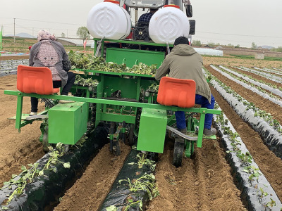 红薯移栽机