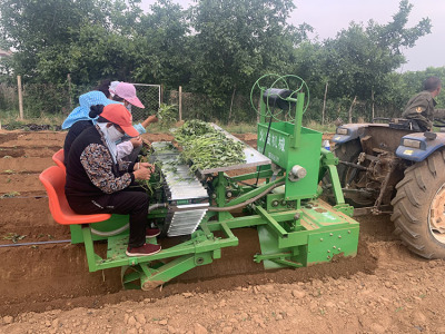 红薯移栽机