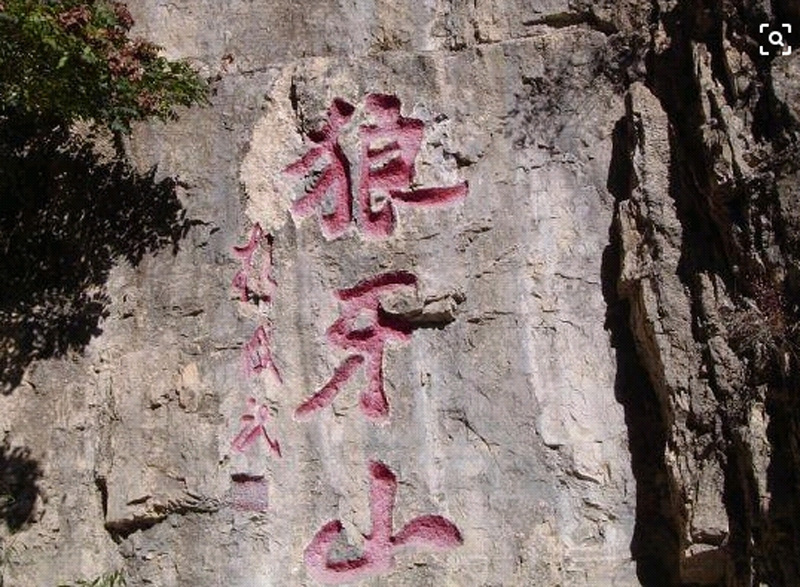 1611392859197191.jpg