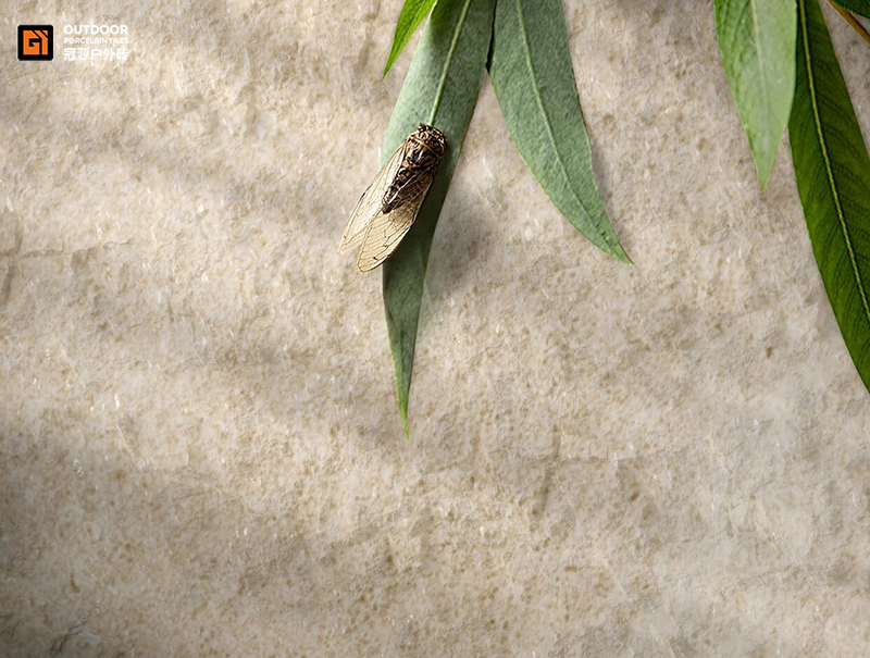 1767513098745464.png e070e2f9e06cdc7a4eacf8005aecc9c8.png