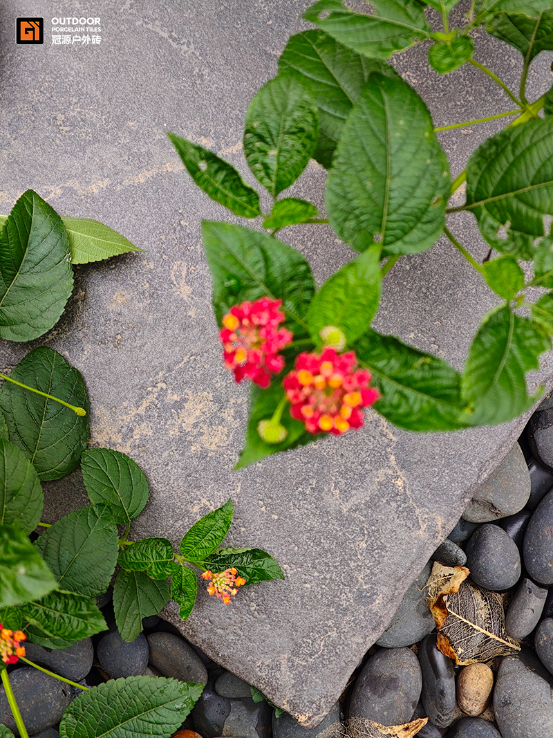 1767515610315359.png b7f865278a1988eb4d6497c1f919b2ac.png