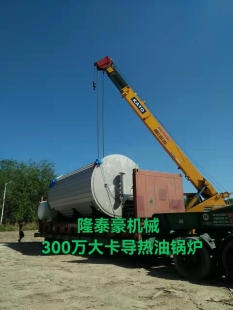 300-500萬(wàn)大卡導(dǎo)熱油鍋爐