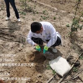 隴南市武都區(qū)科學(xué)技術(shù)局土壤檢測(cè)服務(wù)項(xiàng)目