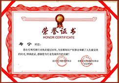 Contribution Award in IP Field