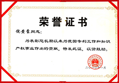 2010 Rao Huangshang-Certificate of Honor