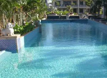 首選游泳池消毒劑三氯異氰尿酸