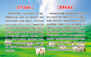 临清润林牧业有限公司-青贮饲料-鲁西黑头羊-湖羊