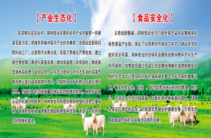 临清润林牧业有限公司-青贮饲料-鲁西黑头羊-湖羊