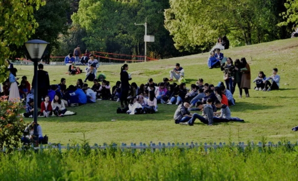 ΢Žͼ_20240902112352.png