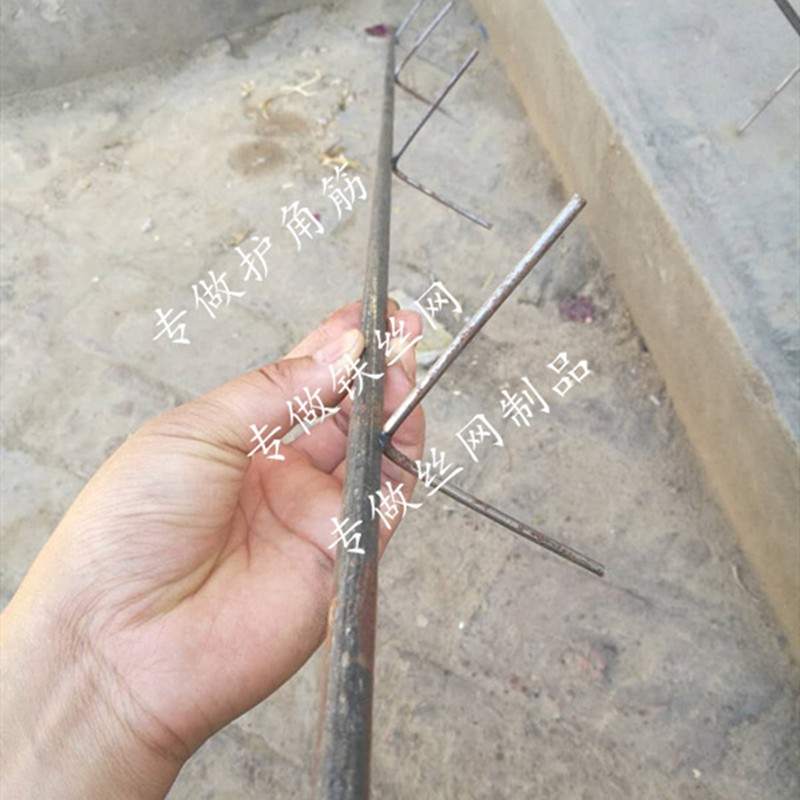 ¥�ݻ��ǽ�,¥��̤�����ǽ�,�ֽ�¥�ݻ���.jpg