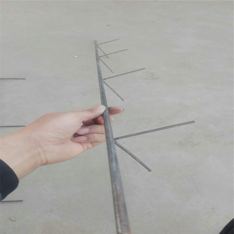 ¥�ݻ��ǽ�,����¥�ݻ��ǽ�,�ֽ�¥�ݻ��ǳ���.jpg