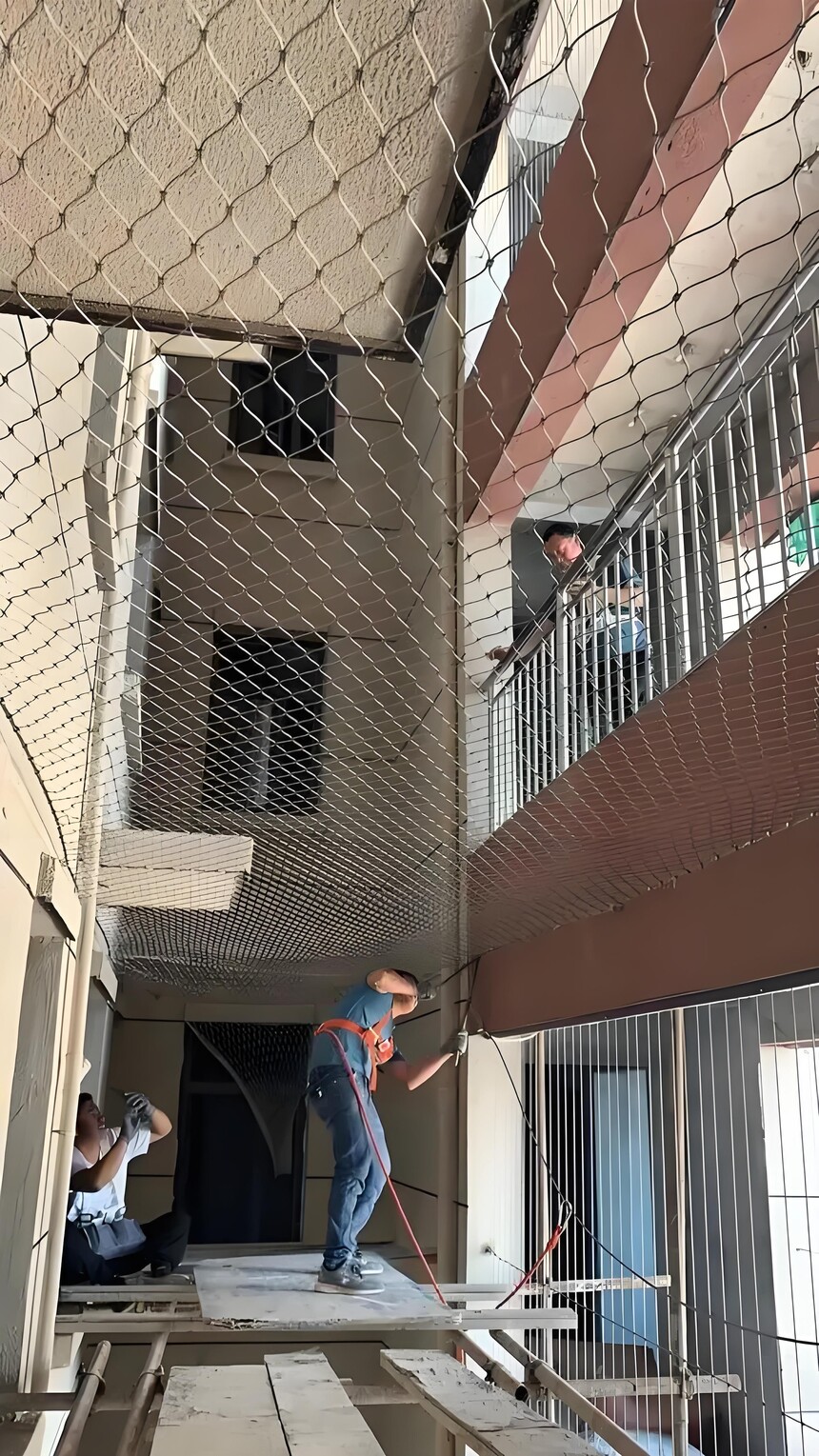���������,��׹��,����ַ�׹��.jpg