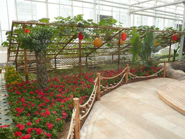 1615517044926732.jpg 竹花架.jpg