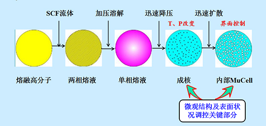 SCF MuCell΢l(f)ݸ߹עܳͼg(sh)·(xin)