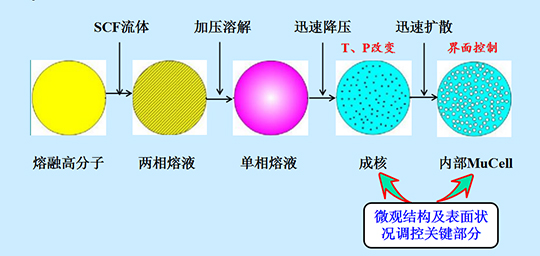 SCF MuCell微发泡高光注塑成型技术路线