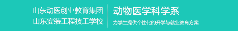 logo.jpg