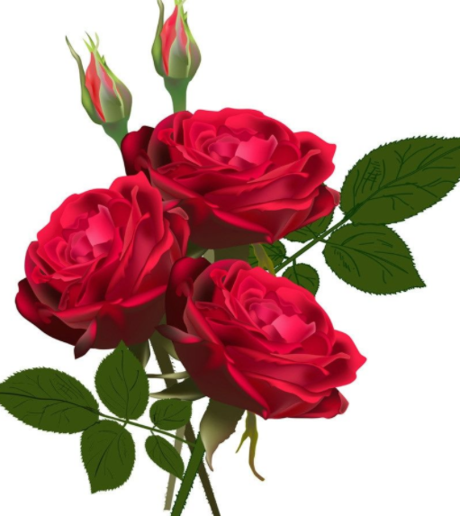 ���ϸ�ӭ��.png