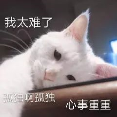 1648448614823895.png image.png