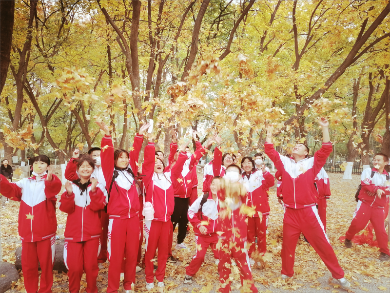 1670056991434482.png 微信图片_20221111161043(1).png