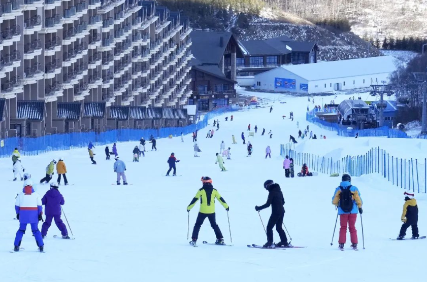 1734428184478160.png 1734428184478160.png