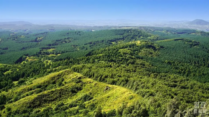 1761302720171567.png image.png