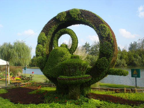 w1.jpg