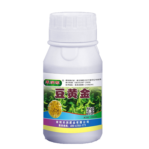 ̝(rn)ڶS(~懊ʩ.png