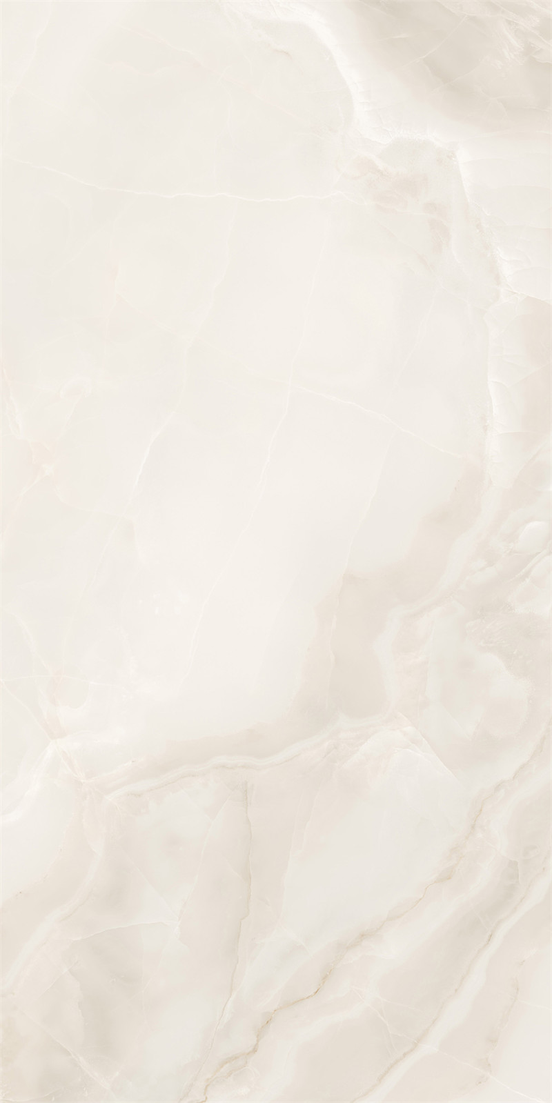 T12L07