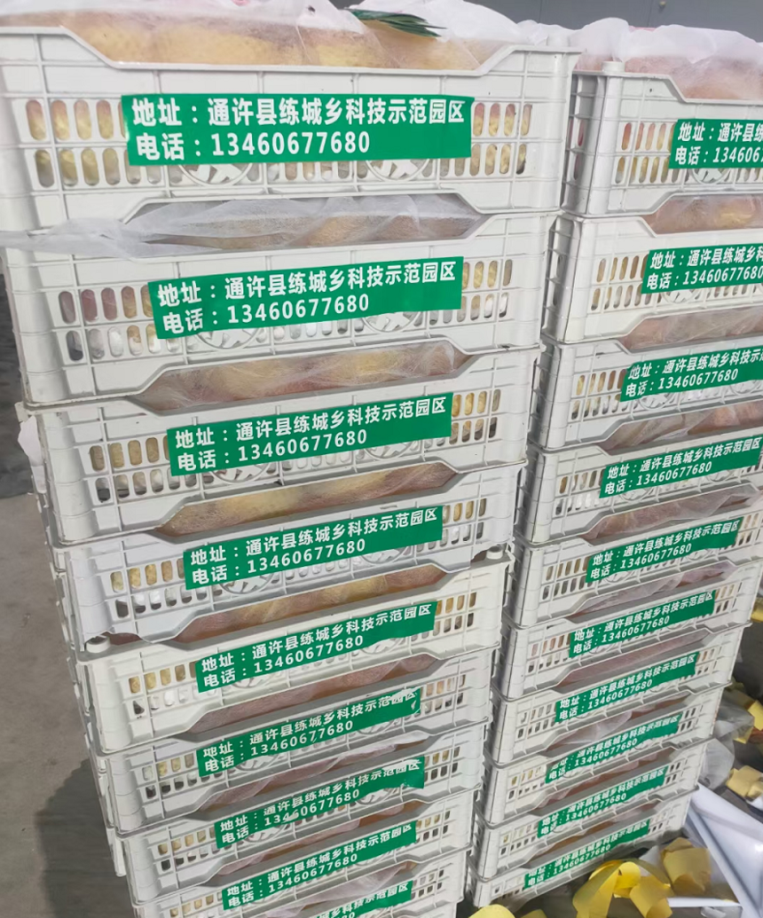 1630922330314177.png image.png
