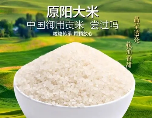 u=1527164993,2583059056&fm=26&fmt=auto.webp.jpg