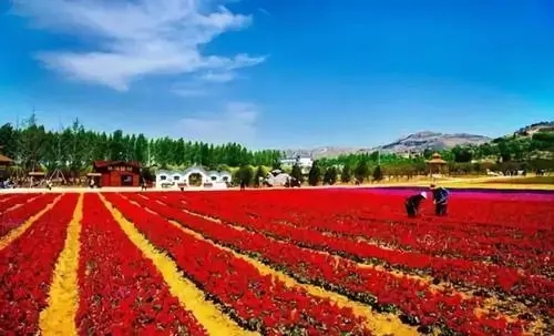 u=4280189003,307552213&fm=26&fmt=auto.webp.jpg