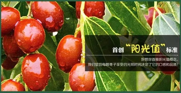 u=2451680846,1483738721&fm=26&fmt=auto.webp.jpg