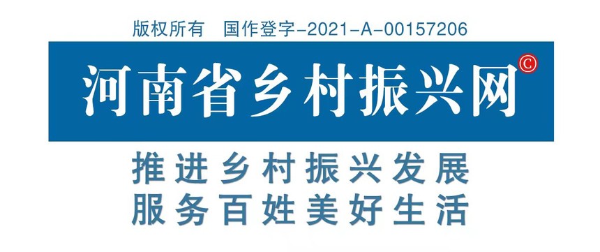 1654154222679228.jpg 乡村振兴网新头图.jpg