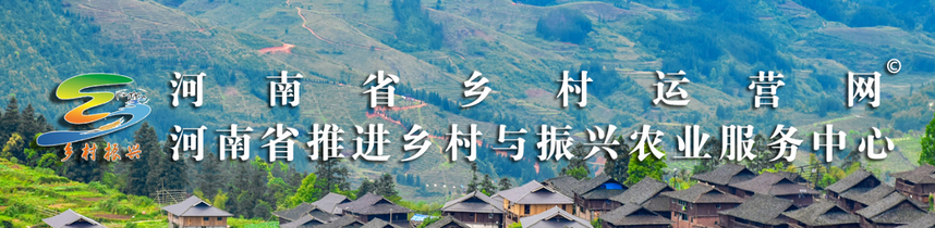 1746700455702718.png image.png