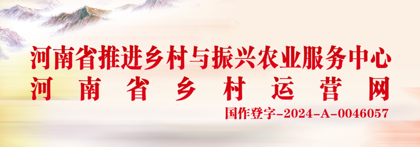 1764654546981294.png 河南省乡村运营网新头图.png