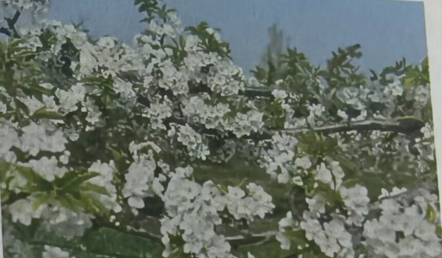 ΢��ͼƬ_20260810141534_1227_2.jpg
