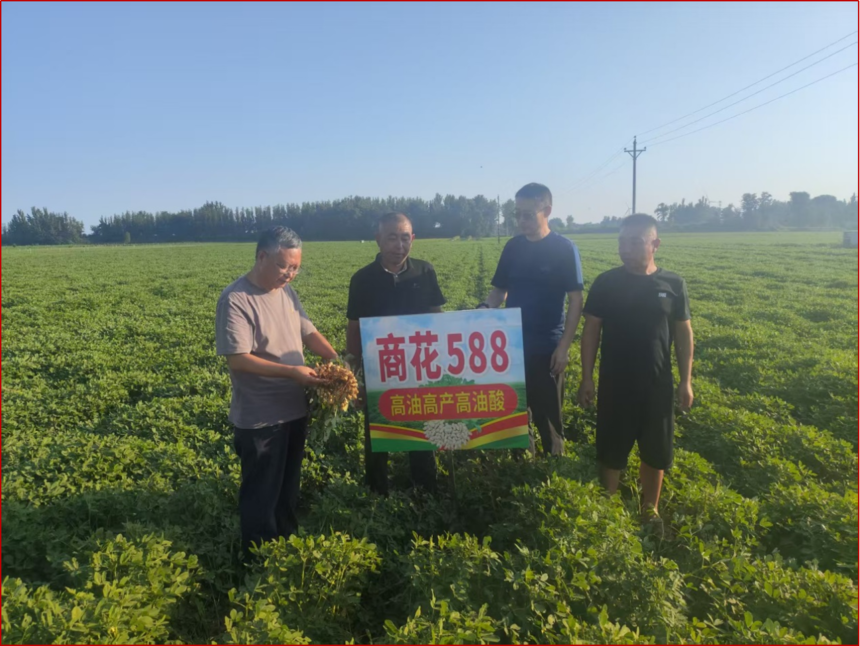 1790647090806567.png 图片2.png