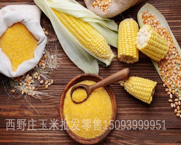 1623519277641987.jpg 玉米777.jpg