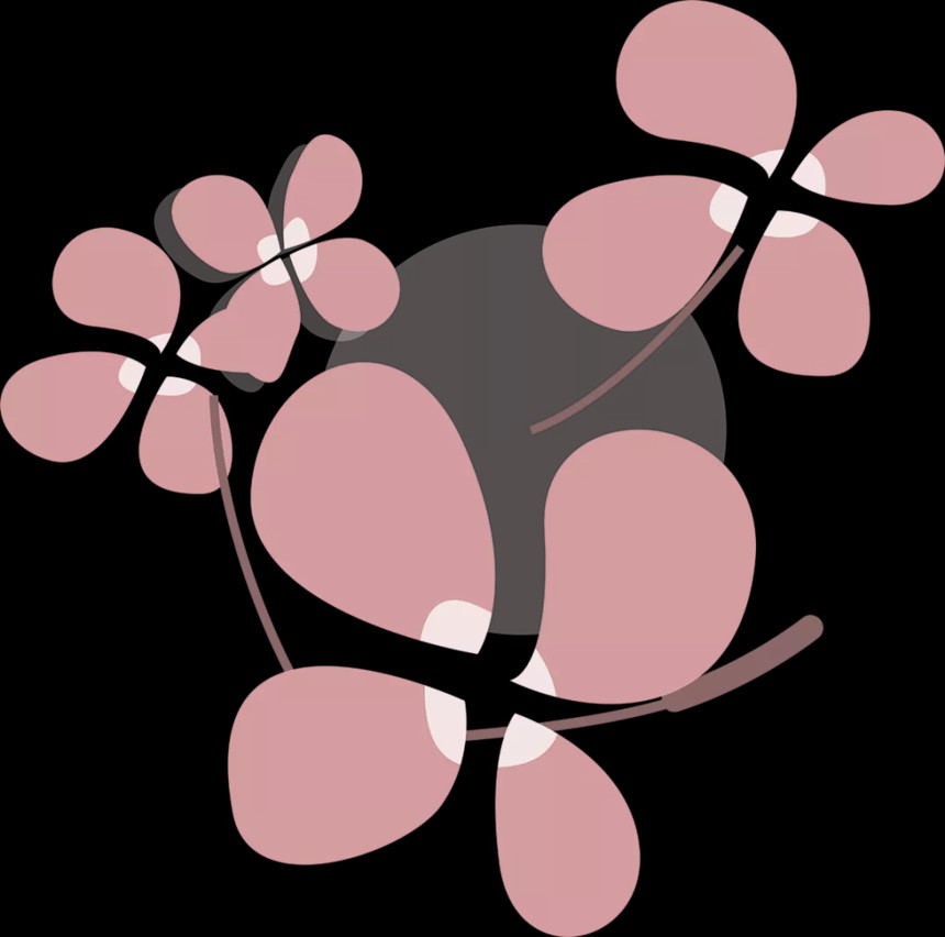 1645499868(1).jpg
