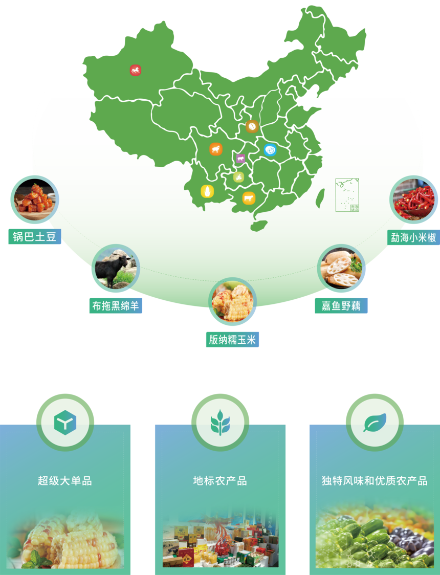 δ����-1 [ת��]-13.png