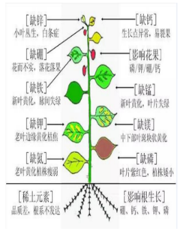 a7f96df50ec84d7388e9fe7512519370.png
