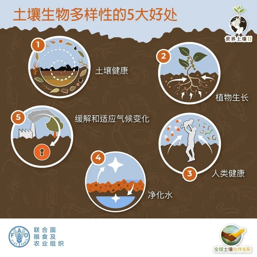 src=http___www.jssss.org.cn_dzhx_data_attachment_image_20201228_20201228132430_85697.jpg&refer=http___www.jssss.org.webp.jpg