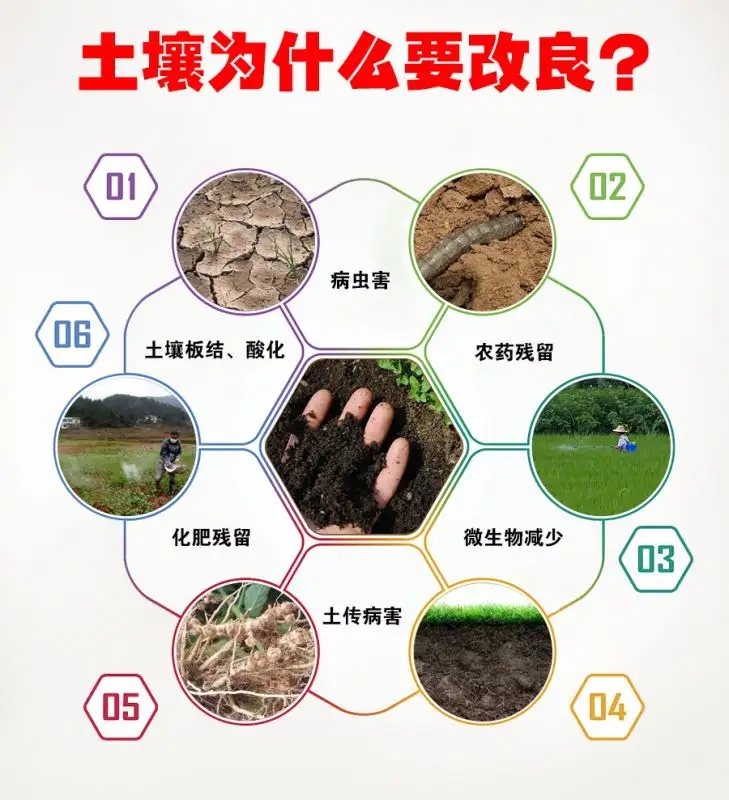 src=http___himg.china.cn_0_5_454_1453524_729_800.jpg&refer=http___himg.china.webp.jpg