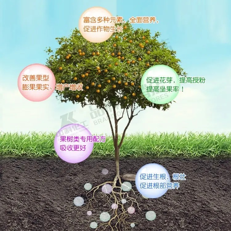src=http___g.search.alicdn.com_img_bao_uploaded_i4_i4_4207011299_O1CN01iRP8WV1LSz4HO3c4i_!!4207011299.jpg&refer=http___g.search.alicdn.webp.jpg