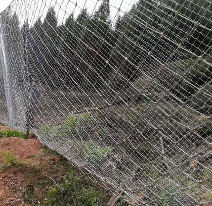 1749452782369806.png 重庆防护网3.png