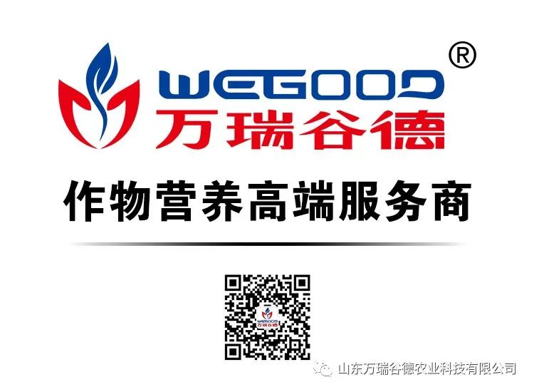 1690185718603201.jpg 萬瑞谷德.jpg
