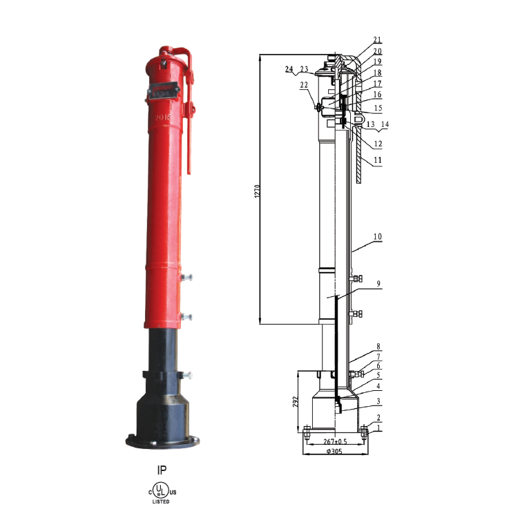 PIV-1.jpg