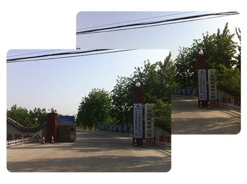 δ-2.png