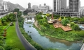 同心城市公园建设项目新同心苑景观工程