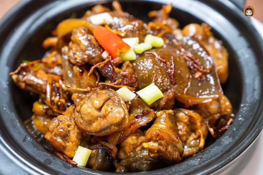 潢川甲鱼_信阳百花会展中心